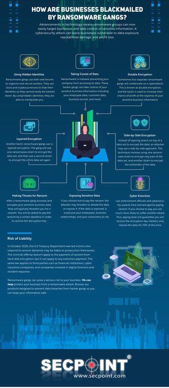 How are businesses blackmailed by ransomware groups