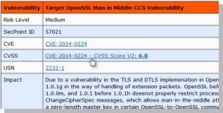 CVSS Penetrator